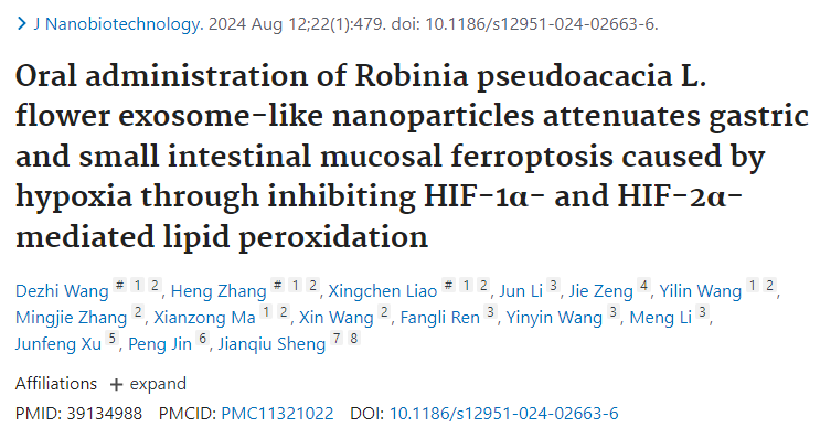 植物外泌体搭上铁死亡，双热点助力一区10分+