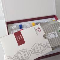 牛细胞色素C氧化酶亚基II(COX2)酶联免疫试剂盒