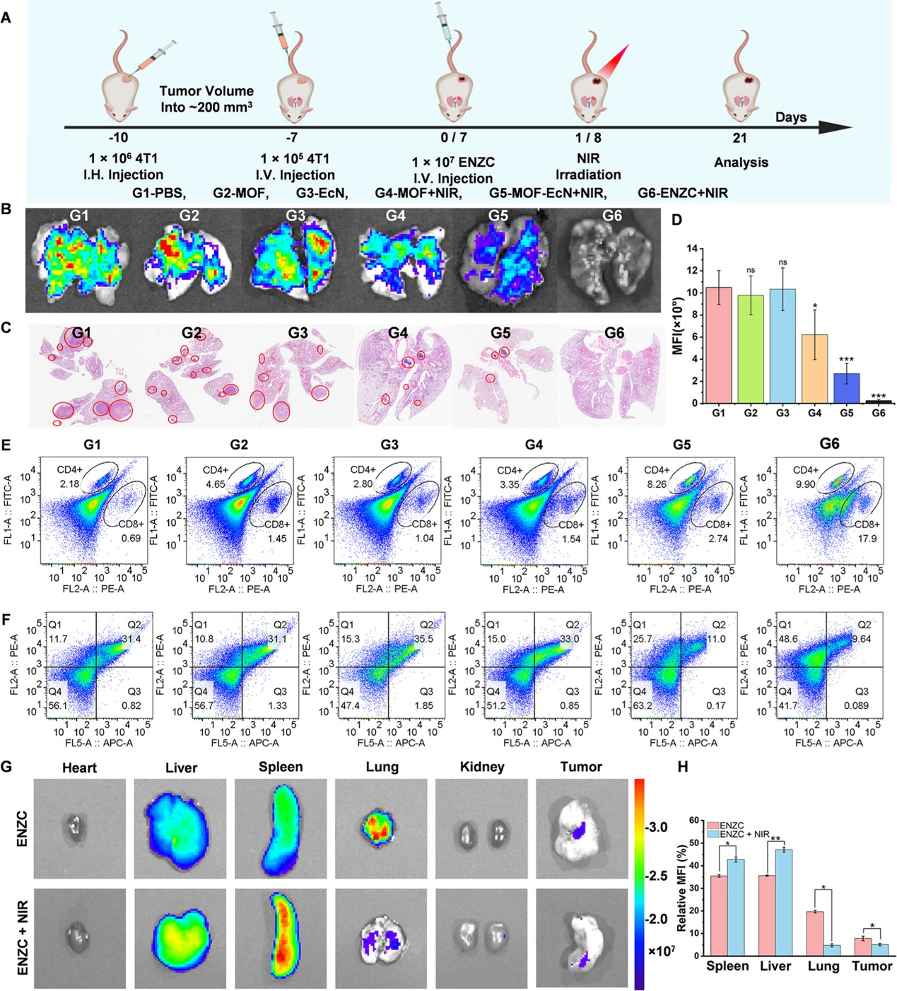 外泌体技术服务 外泌体技术服务