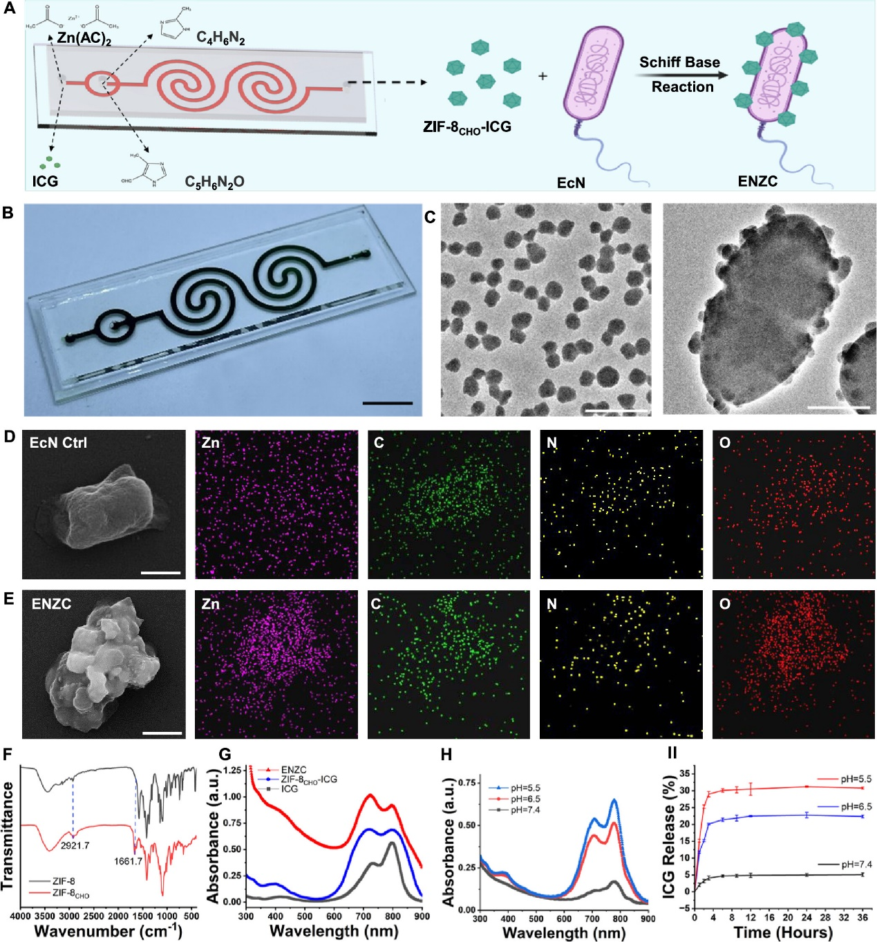 外泌体技术服务 外泌体技术服务
