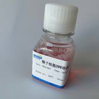 牛网钙蛋白1(RCN1)酶联免疫试剂盒 