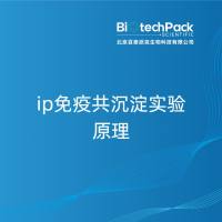 ip免疫共沉淀实验原理