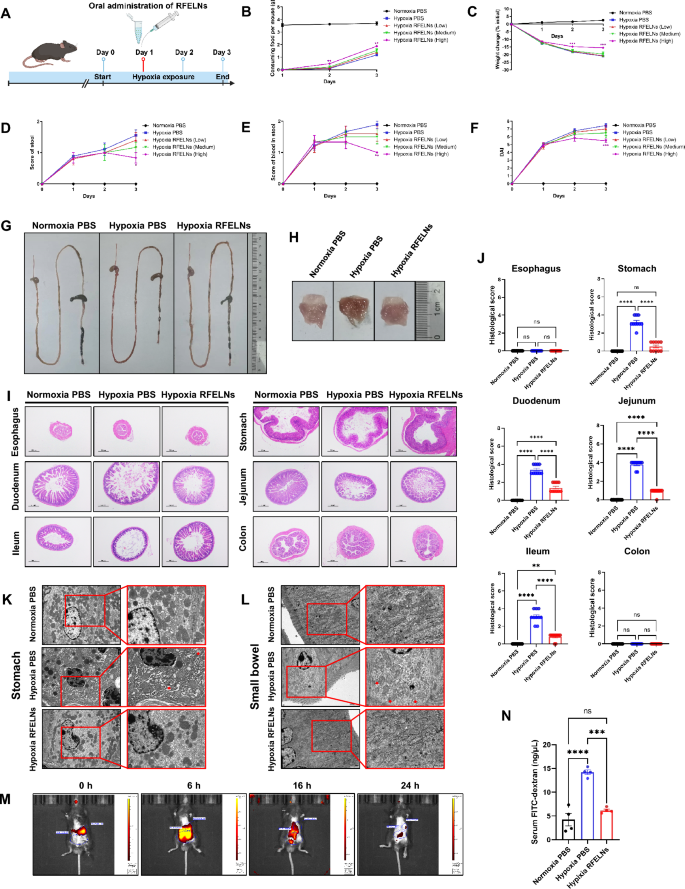 外泌体技术服务 外泌体技术服务