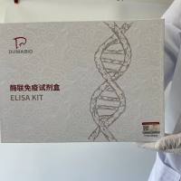 牛Janus激酶3(JAK3)酶联免疫试剂盒  