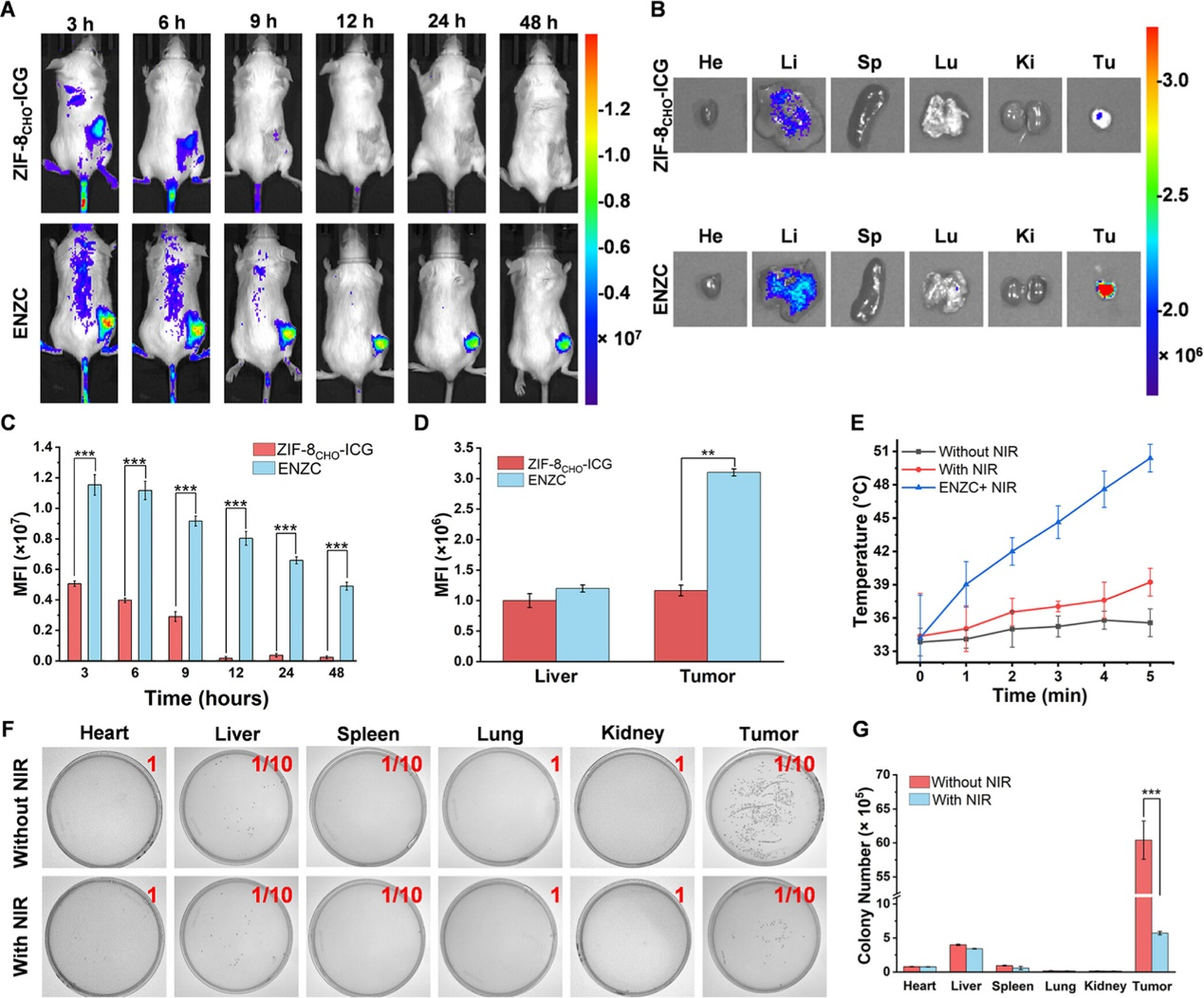 外泌体技术服务 外泌体技术服务