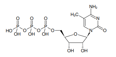 Jena bioscience--5-Methyl-CTP促销啦