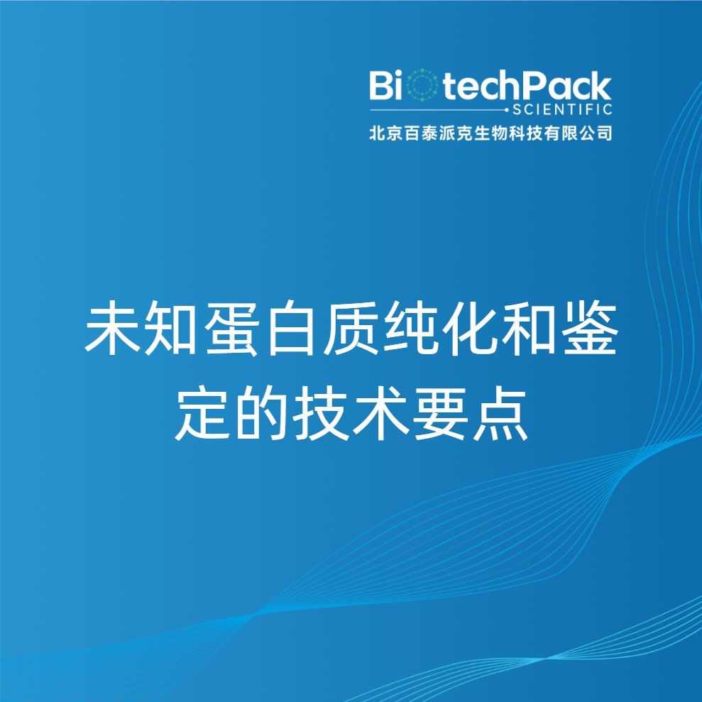 未知蛋白质纯化和鉴定的技术要点