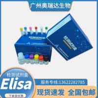 植物α淀粉酶(AMS)ELISA检测试剂盒
