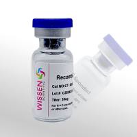 Wissen 重组人R-spondin(GMP级) R-Spondin1 CT-803C 10ug