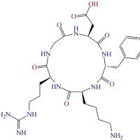 Bcl-2 siRNA被PEG修饰的RGD肽载体包封