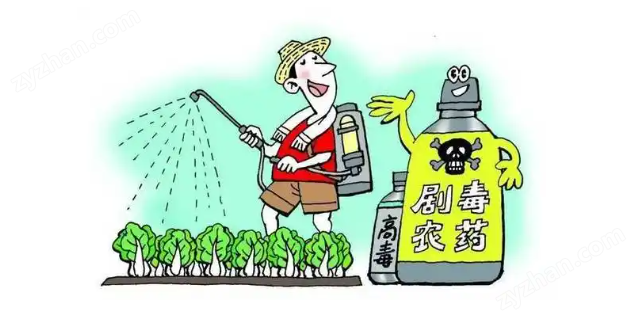 有机磷农药快速检测卡（农贸市场现场检测）