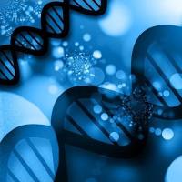 染色质免疫共沉淀测序(ChIP-seq)