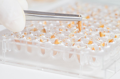 解决ELISA试剂盒实验中误操作造成的跳孔现象