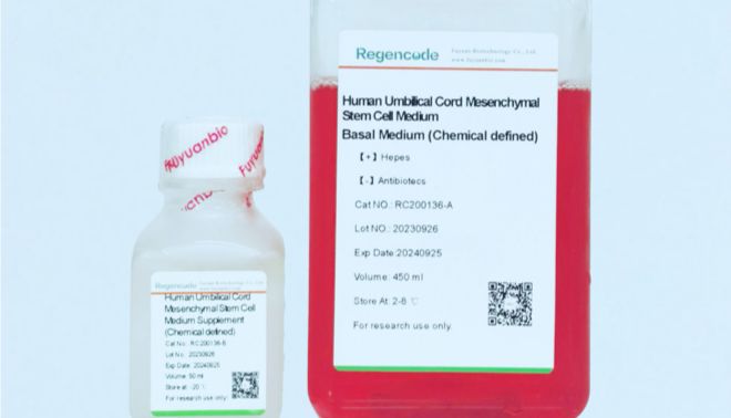 你还在用普通培养基养间充质干细胞吗？