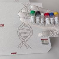 牛糜蛋白酶C(CTRC)酶联免疫试剂盒