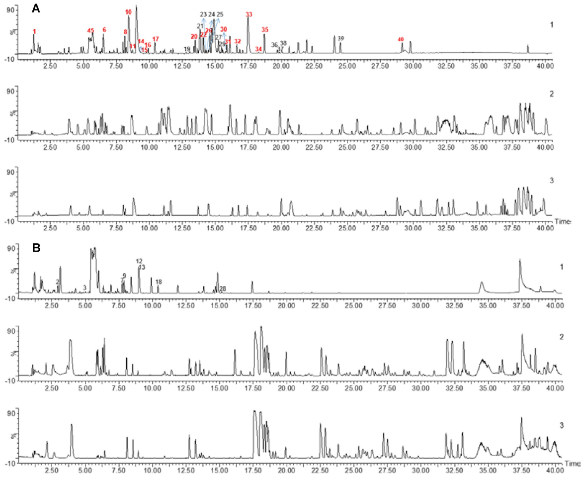脑-心胆碱能突触-钙信号传导介导缺血性卒中诱发房颤