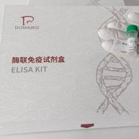 牛N-甲基-D-天门冬氨酸受体亚单位(NR2)酶联免疫试剂盒