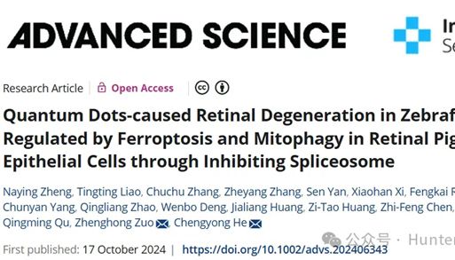 Adv.Sci | 利用斑马鱼模型研究量子点对眼睛发育的影响及其机制