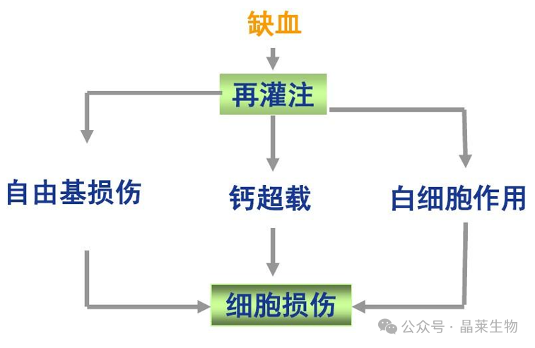 1730102587760463.png 640_wx_fmt=png&from=appmsg (3).png