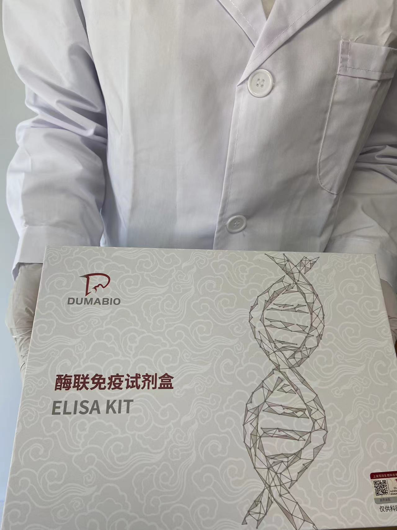 牛C1q肿瘤坏死因子相关蛋白12(C1QTNF12)酶联免疫