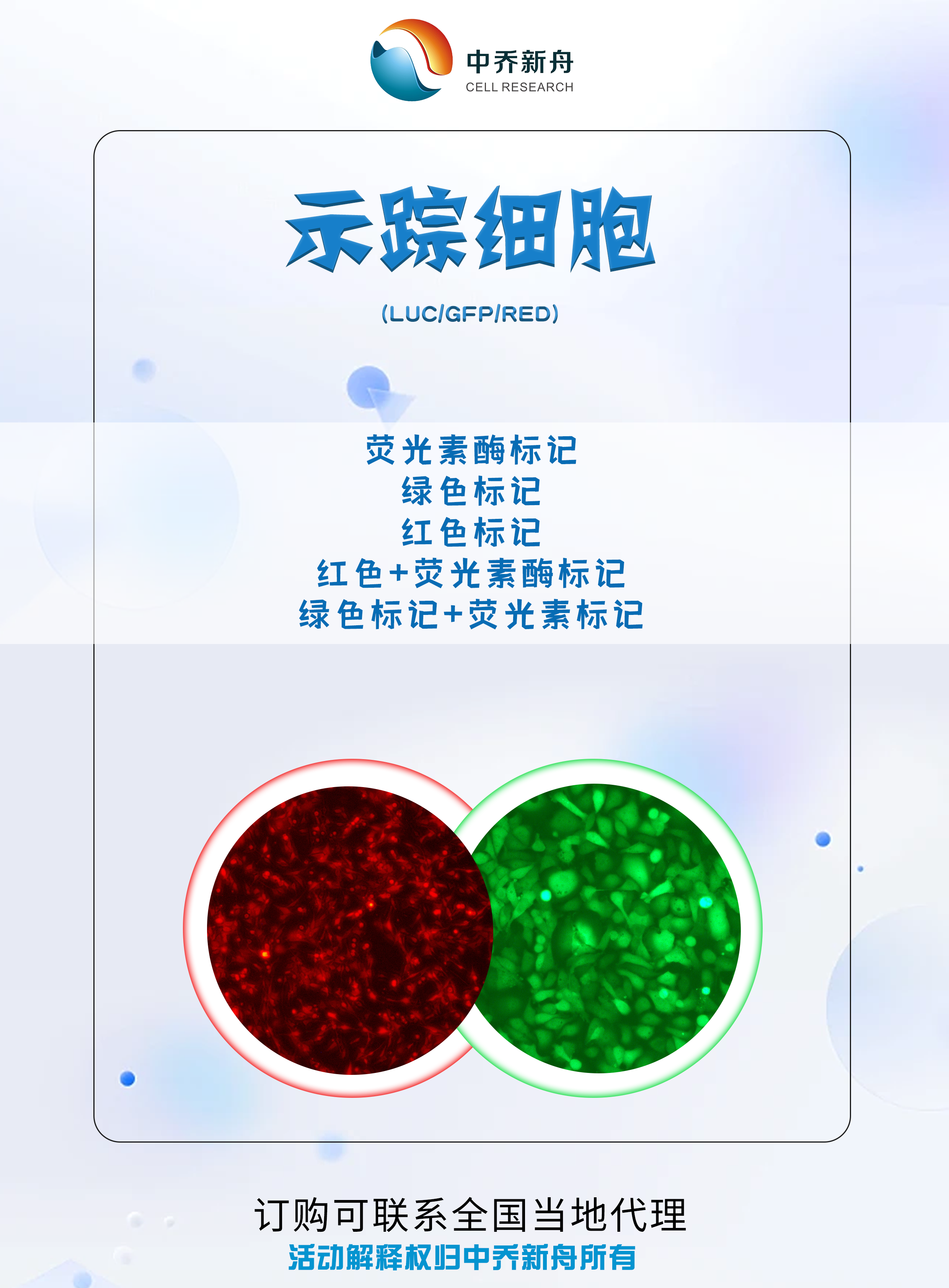 LUC、GFP、RFP细胞标记服务