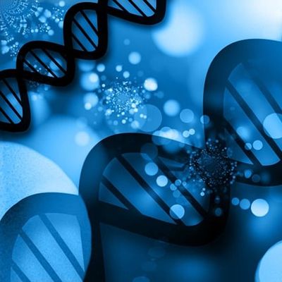 甲基化DNA免疫沉淀测序 (MeDIP-seq)