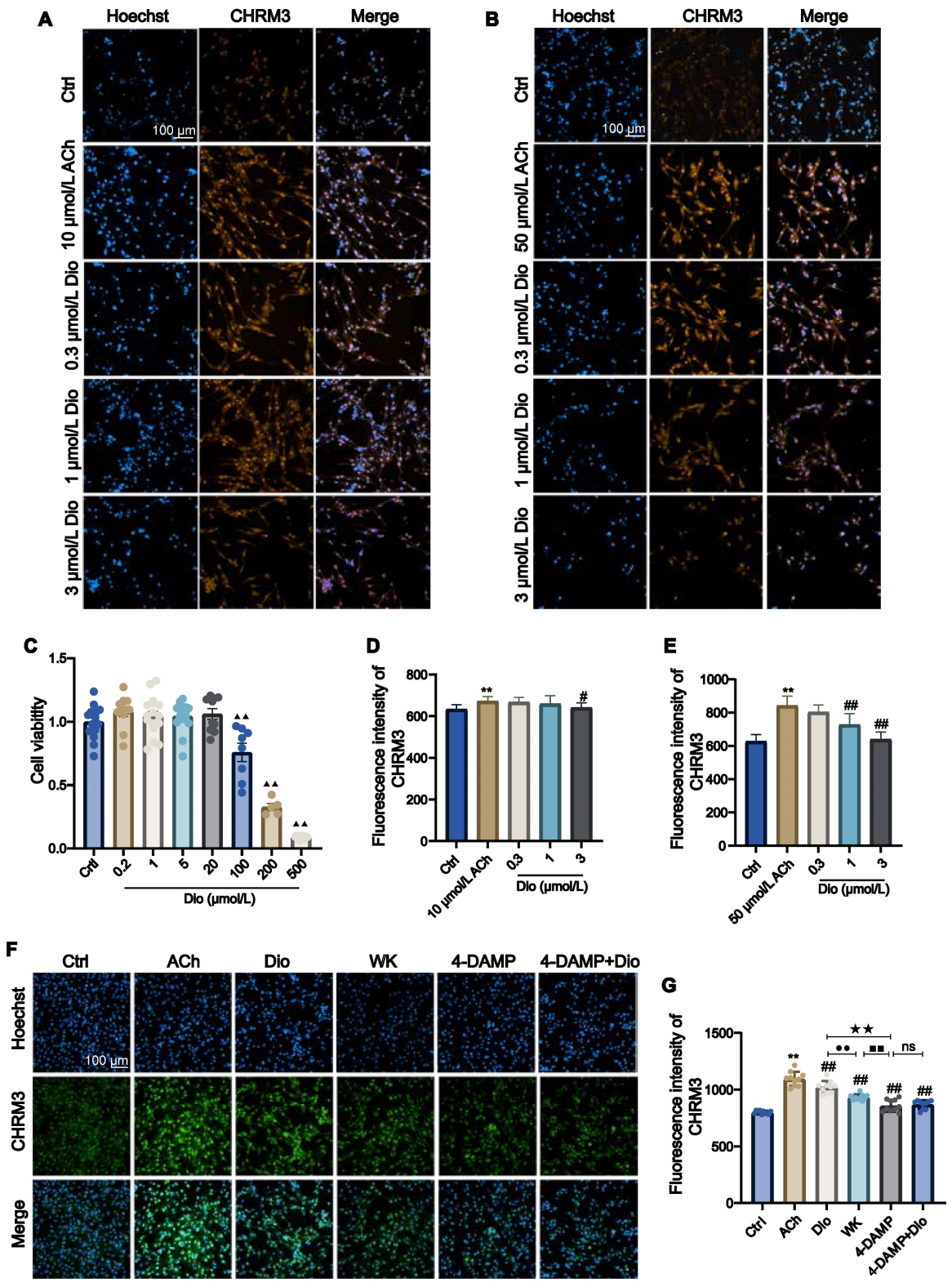 脑-心胆碱能突触-钙信号传导介导缺血性卒中诱发房颤