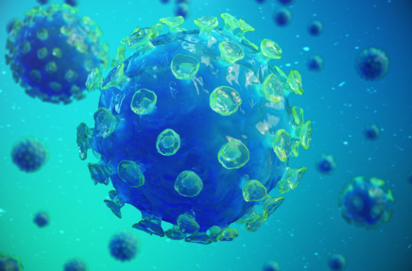 细胞不贴壁应该怎么办？解决方法有哪些？