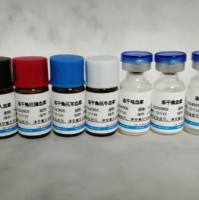 鼠抗人甲种胎儿球蛋白单克隆抗体使用