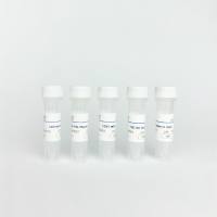 外泌体鉴定抗体试剂盒  /  Exosome Identification Antibody Kit