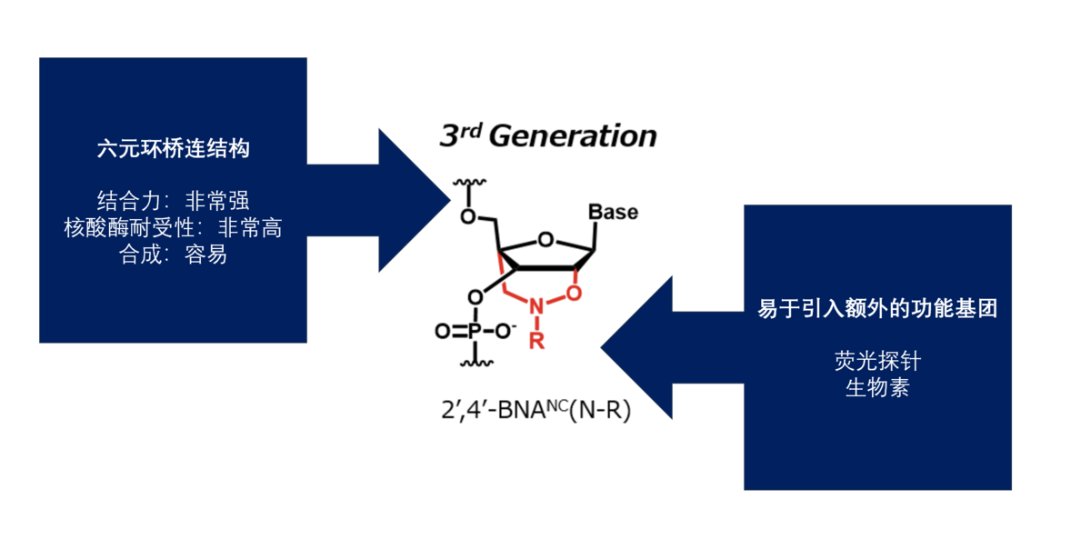 Bridged Nucleic Acid (BNA) 合成