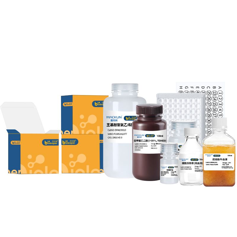 Phospho-Amyloid Precursor Protein (Thr743)  Rabbit mAb