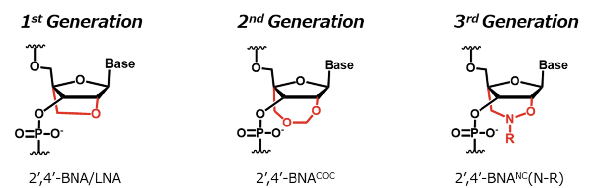 Bridged Nucleic Acid (BNA) 合成