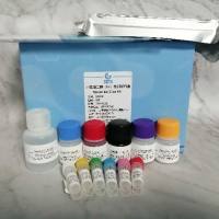 小鼠雌二醇(E2）检测试剂盒