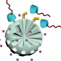 介孔二氧化硅纳米粒被具有氧化还原响应性二硫键偶联的β-环糊精（β-CD）修饰