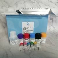 人细胞间粘附分子1(ICAM-1)ELISA检测试剂盒