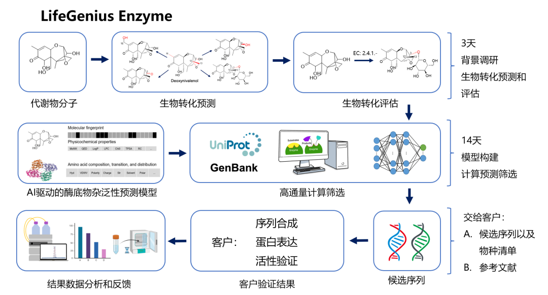 【战略合作】精准挖酶，高效改造——丽合智造与镁孚泰合成生物领域的双赢合作!