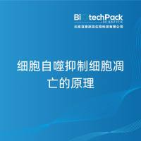 细胞自噬抑制细胞凋亡的原理