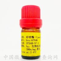 溶壁酶（lywallzyme） 