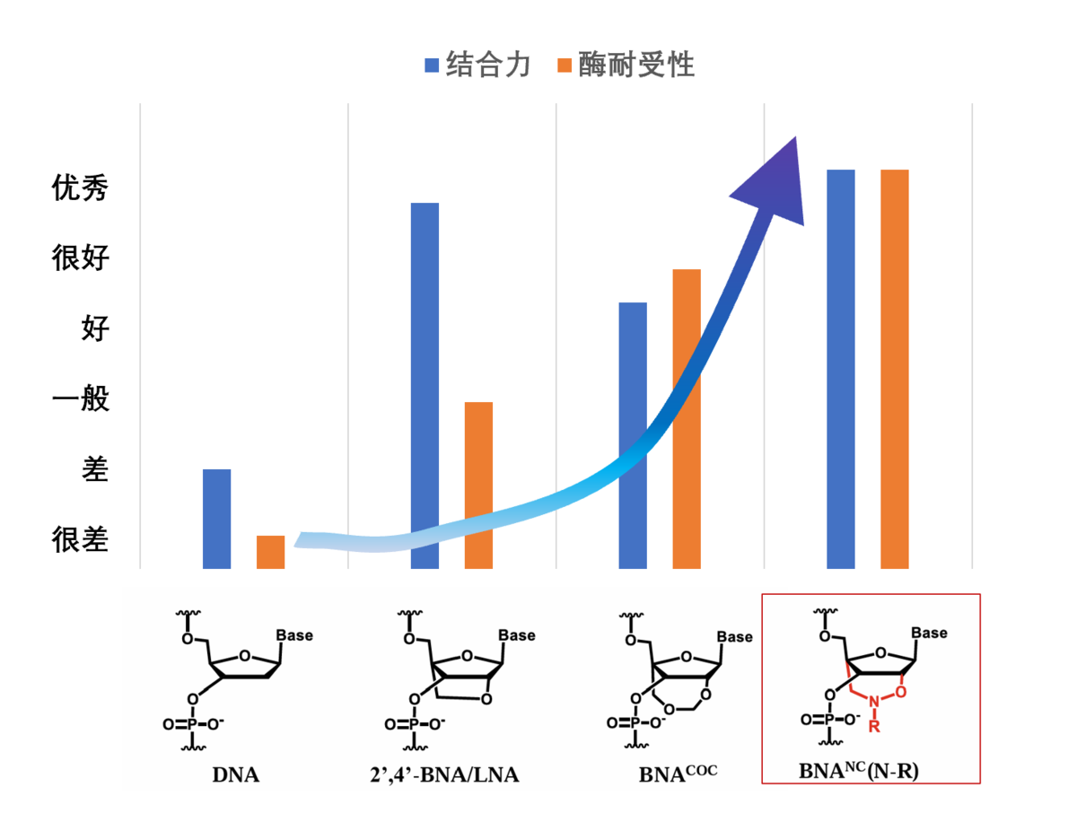 Bridged Nucleic Acid (BNA) 合成