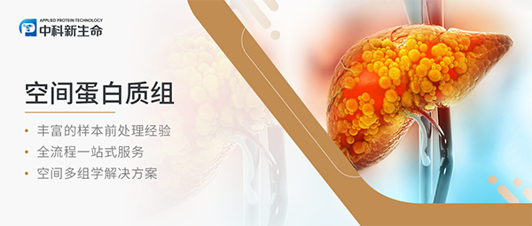 Nat Cancer（IF 23.5）| 复旦大学王红阳/陈磊教授团队揭示肝癌微环境免疫机制