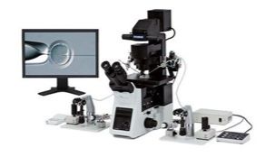 EVIDENT搭建辅助生殖之桥，为人口高质量发展护航！