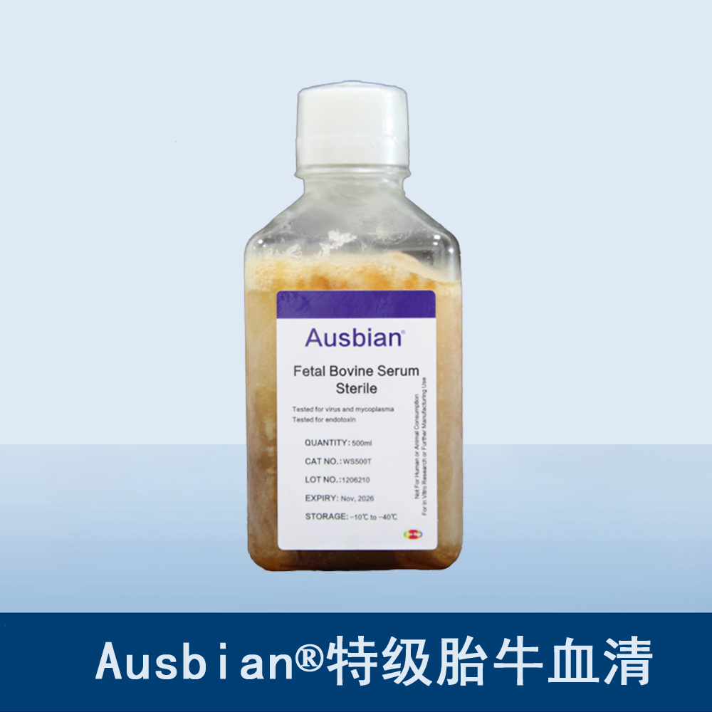 干货分享：胎牛血清中哪些生长因子可以帮助细胞生长
