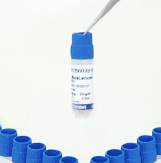 CYP4A11(CYP450重组酶)