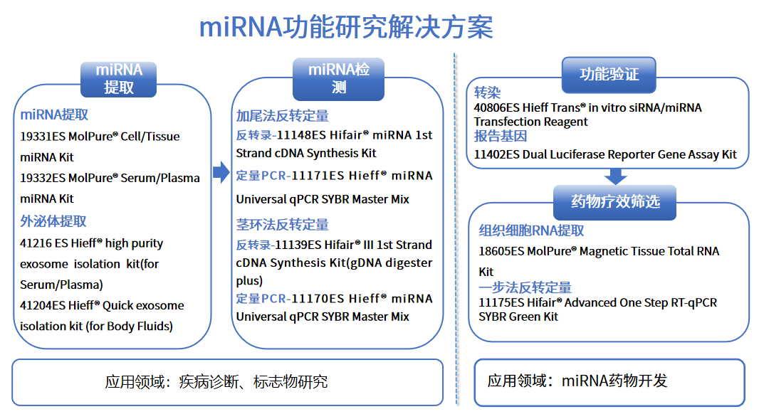 摘获2024诺贝尔奖!miRNA何以站上基因调控C位?