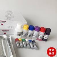 牛巯基氧化酶1(QSOX1)酶联免疫试剂盒