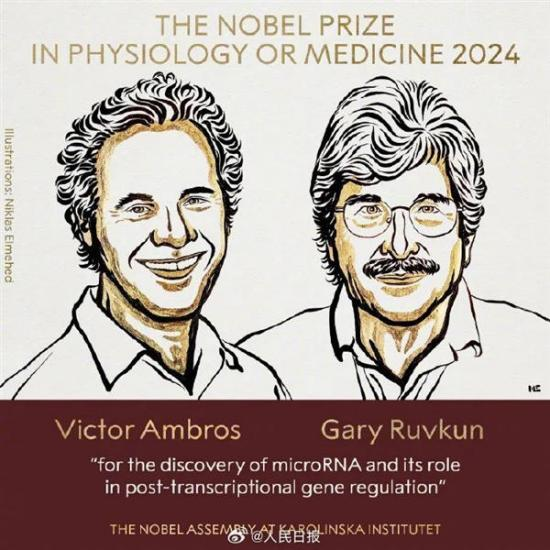 摘获2024诺贝尔奖!miRNA何以站上基因调控C位?