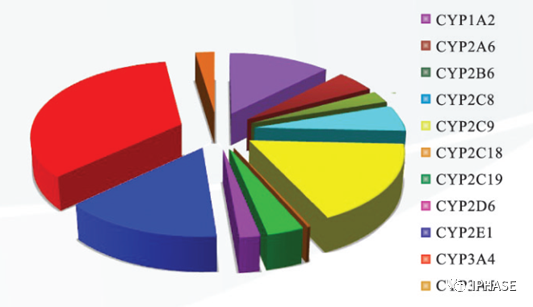 CYP4A11(CYP450重组酶)