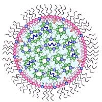 DOPE阳离子脂质体包封RPR209120