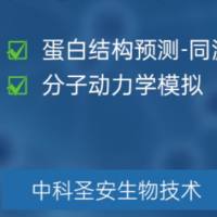 蛋白结构预测-同源建模